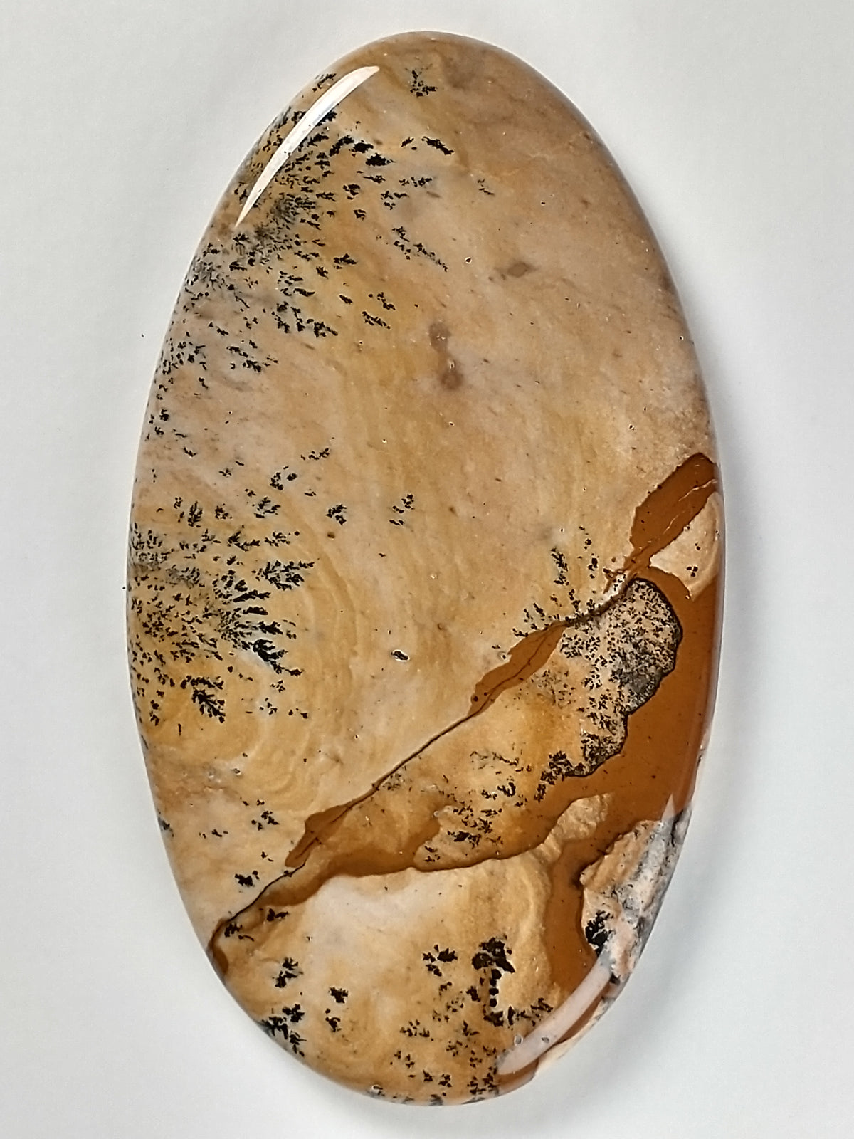 Biggs Jasper Cabochon Medium