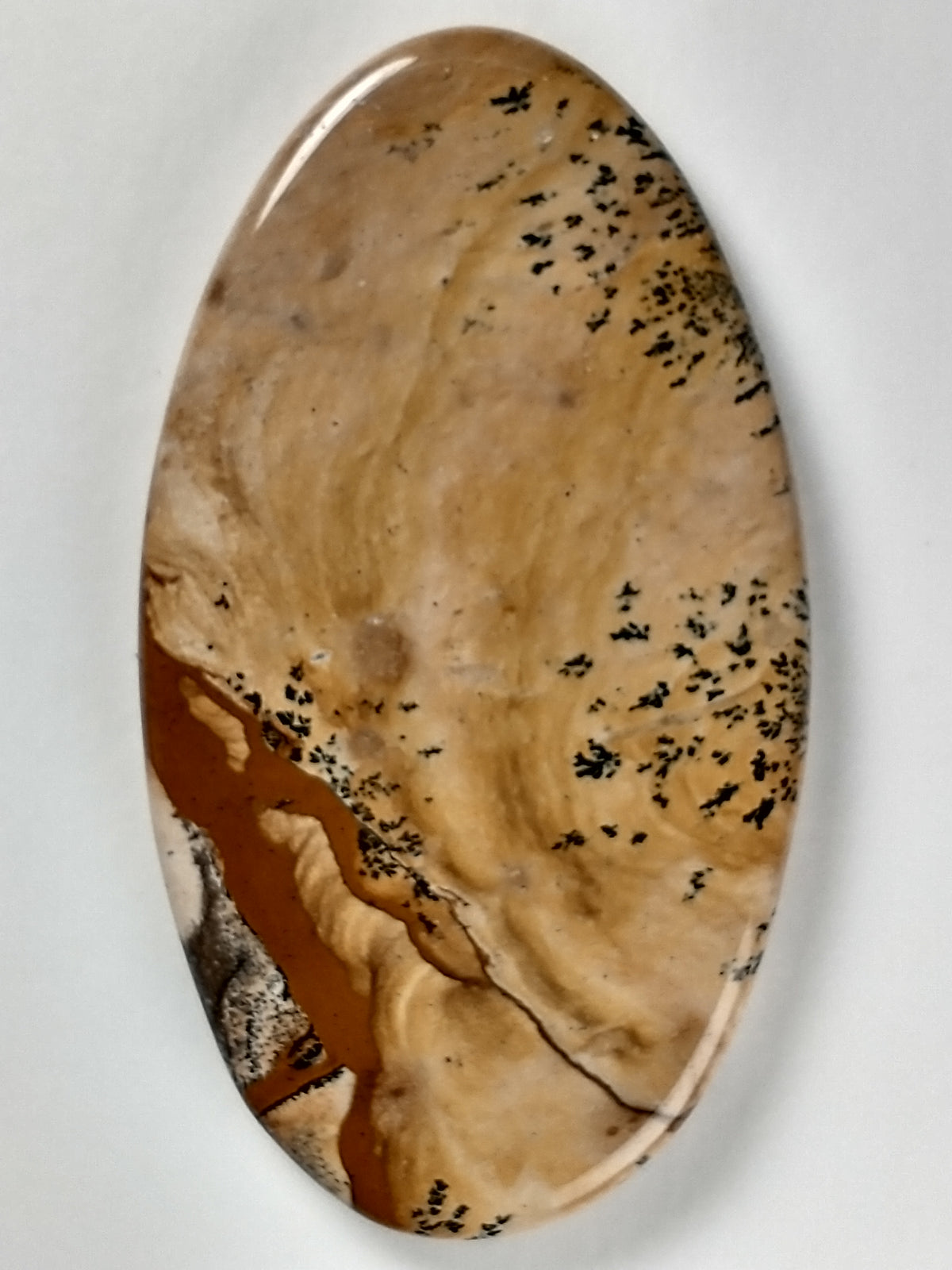 Biggs Jasper Cabochon Medium