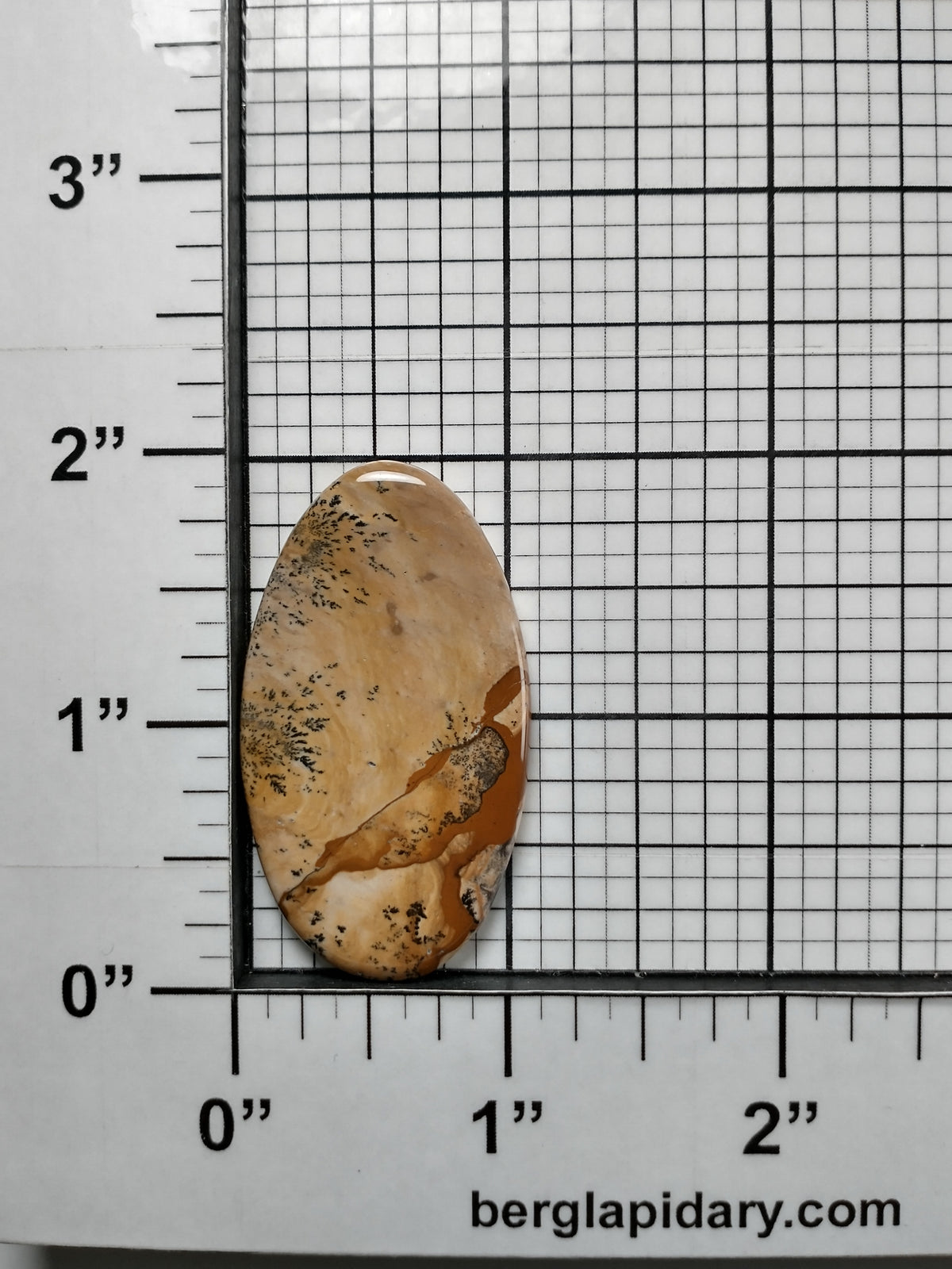 Biggs Jasper Cabochon Medium