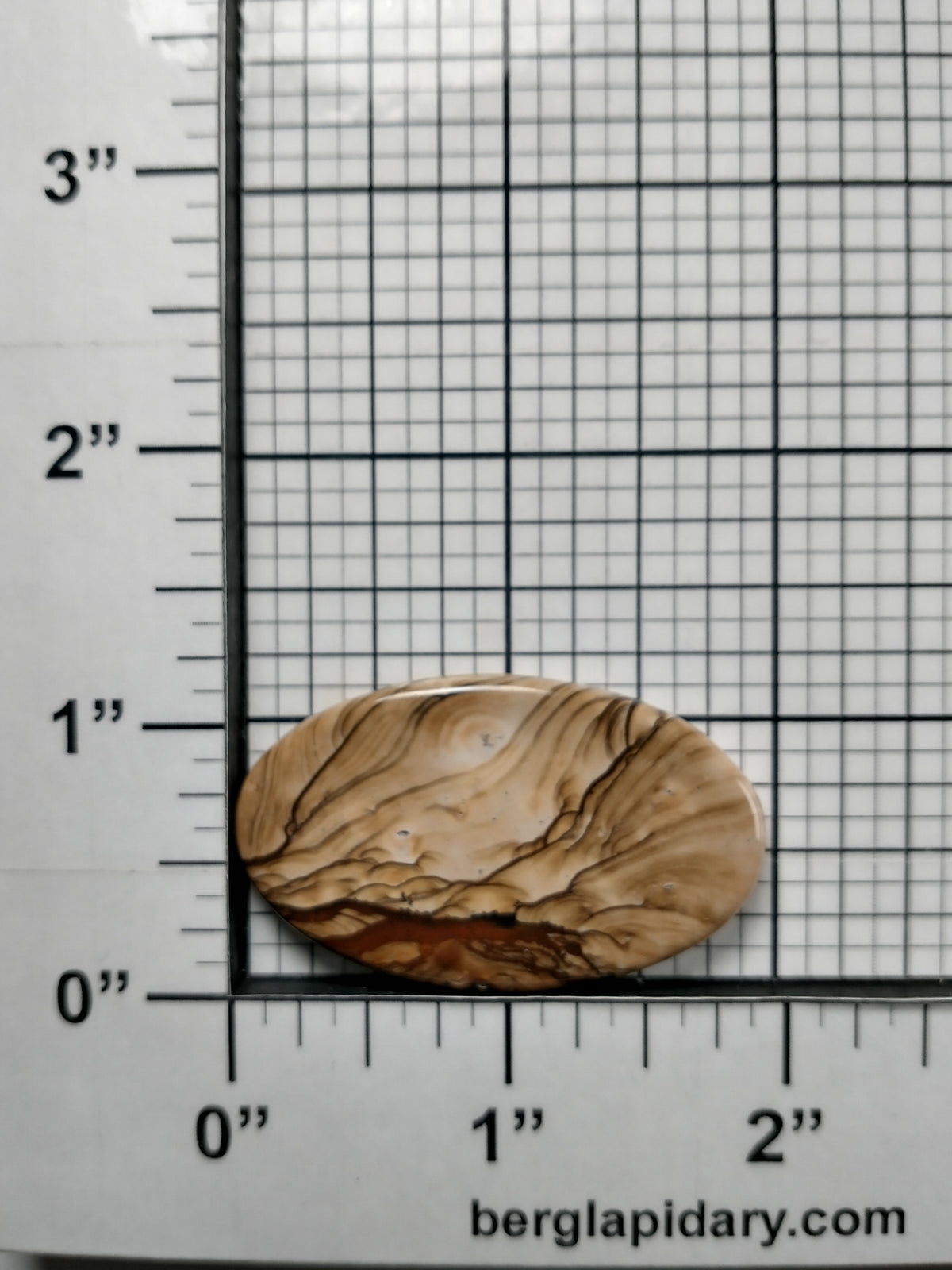 Biggs Jasper Cabochon Medium