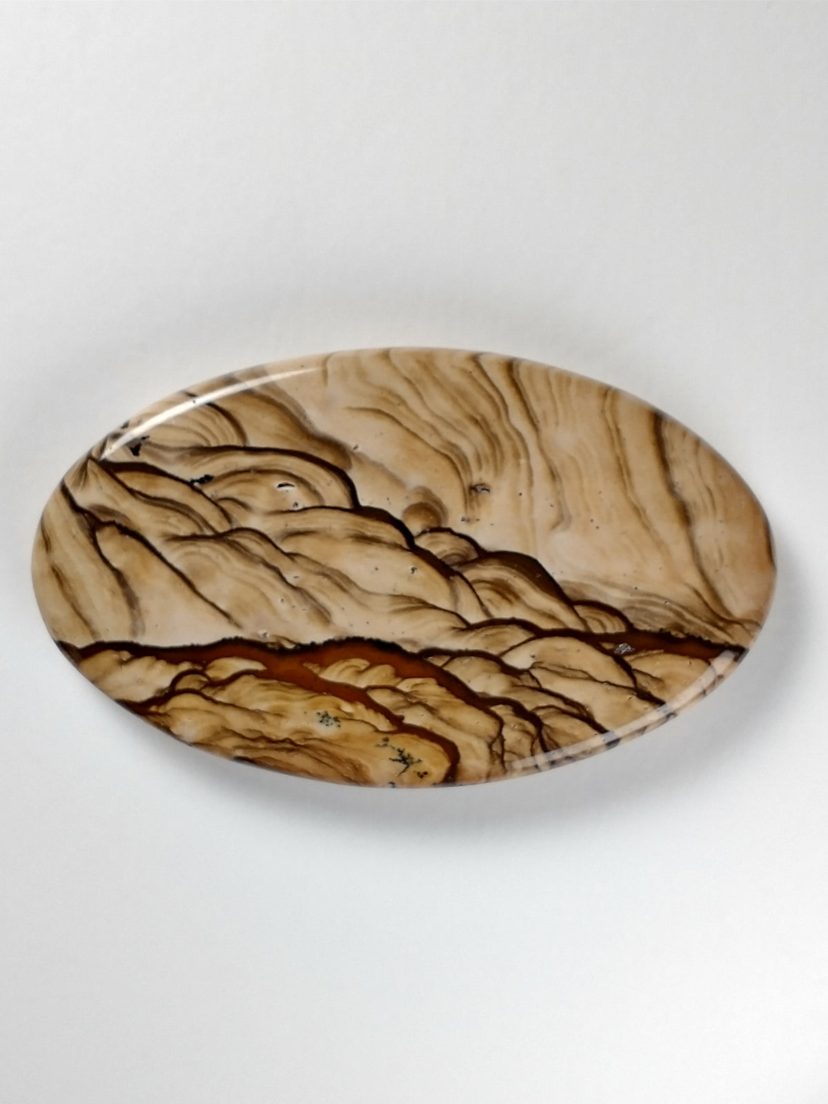 Biggs Jasper Cabochon Medium