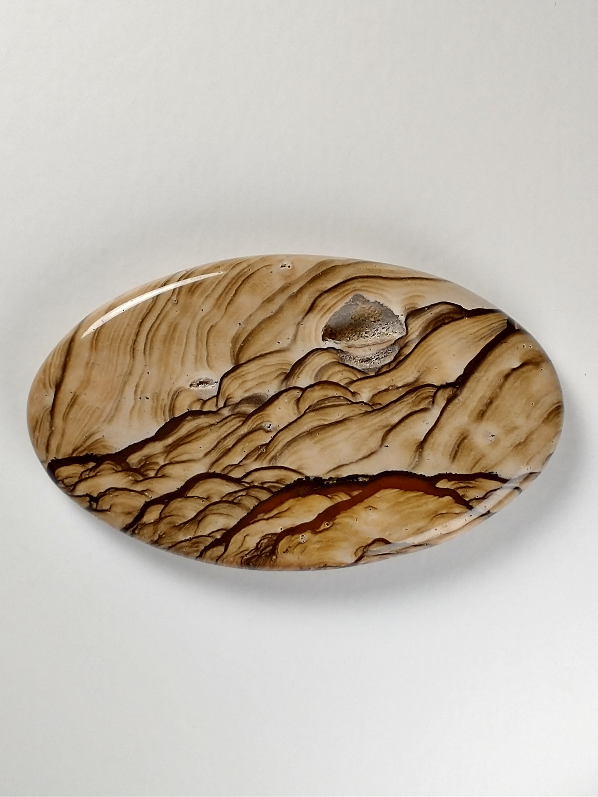 Biggs Jasper Cabochon Medium