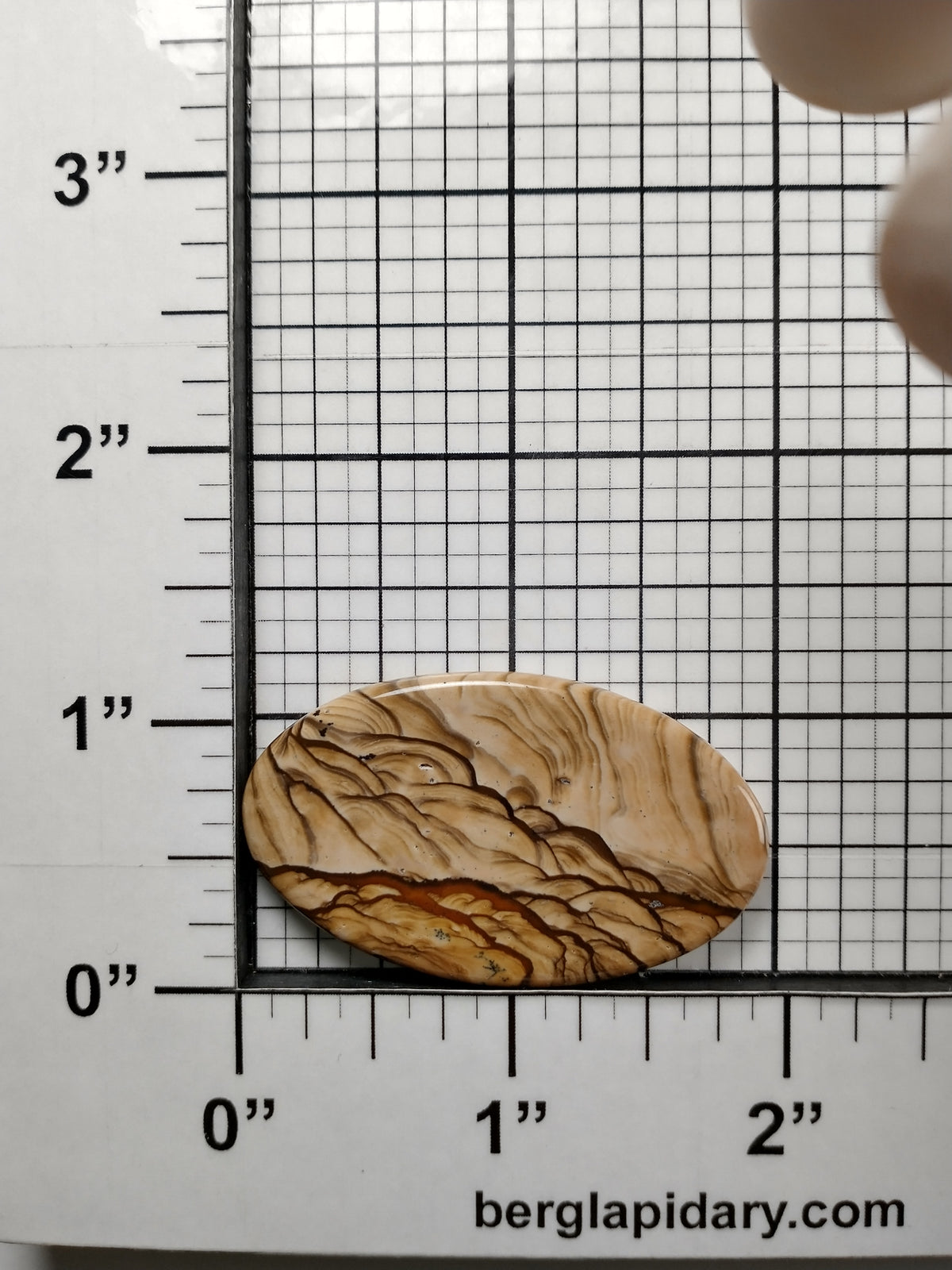 Biggs Jasper Cabochon Medium