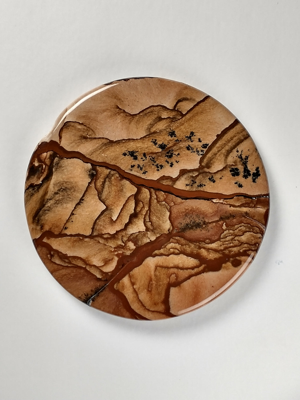 Biggs Jasper Cabochon Medium