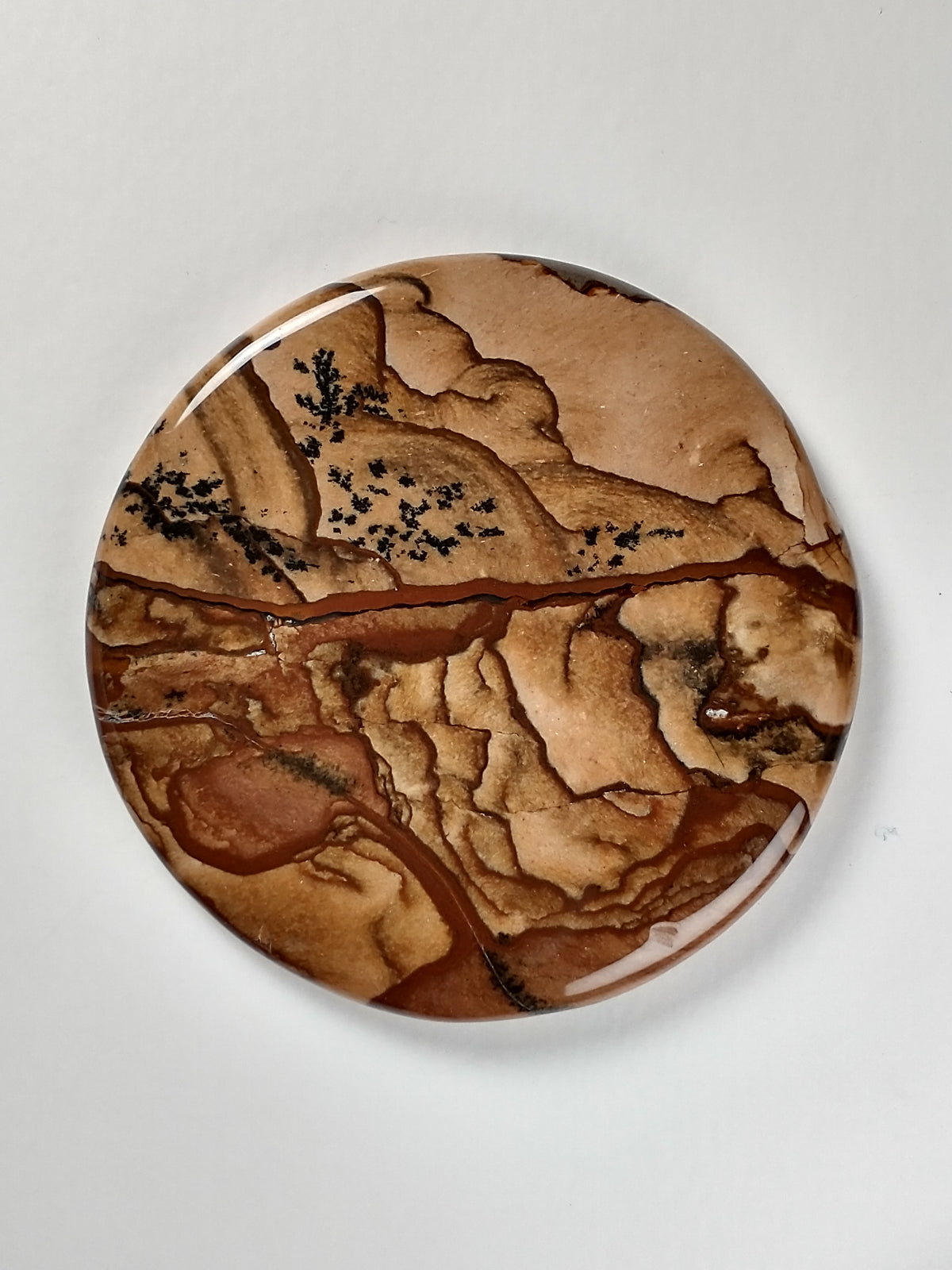Biggs Jasper Cabochon Medium