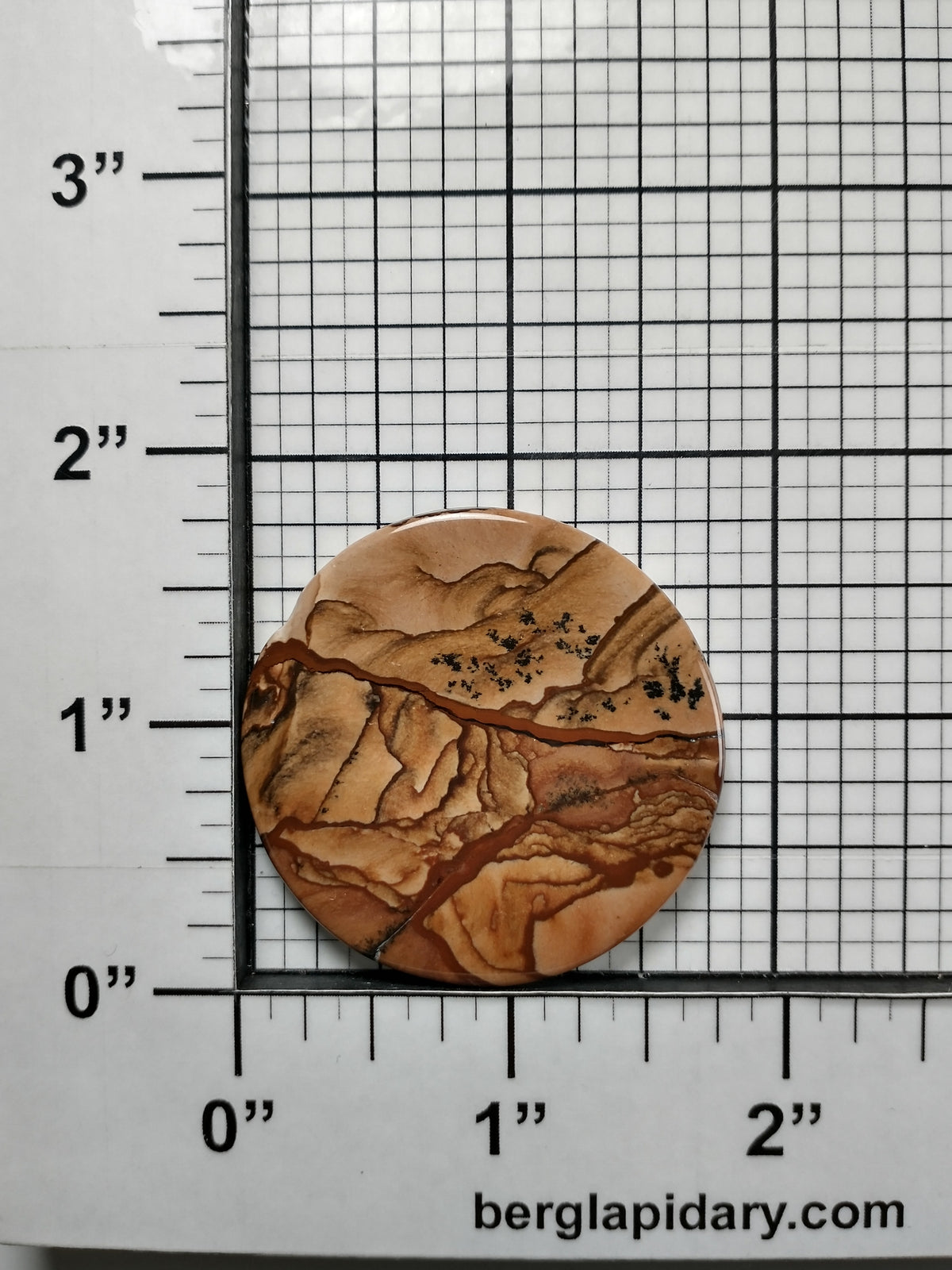 Biggs Jasper Cabochon Medium