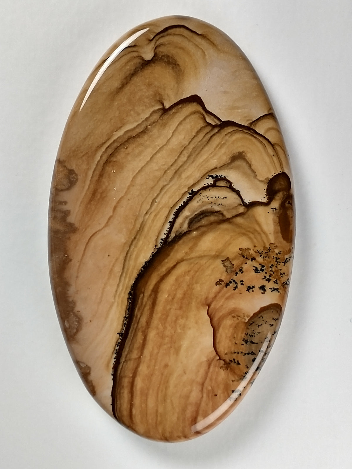 Biggs Jasper Cabochon Large
