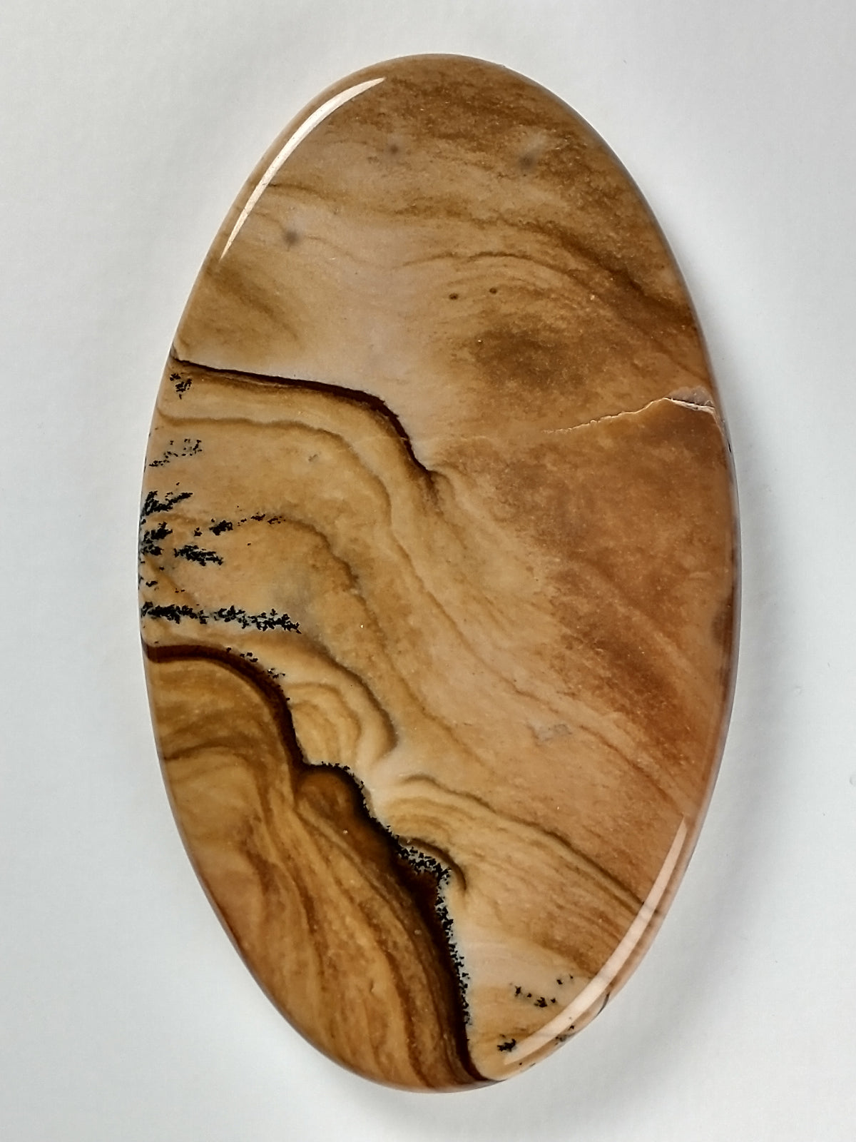 Biggs Jasper Cabochon Large