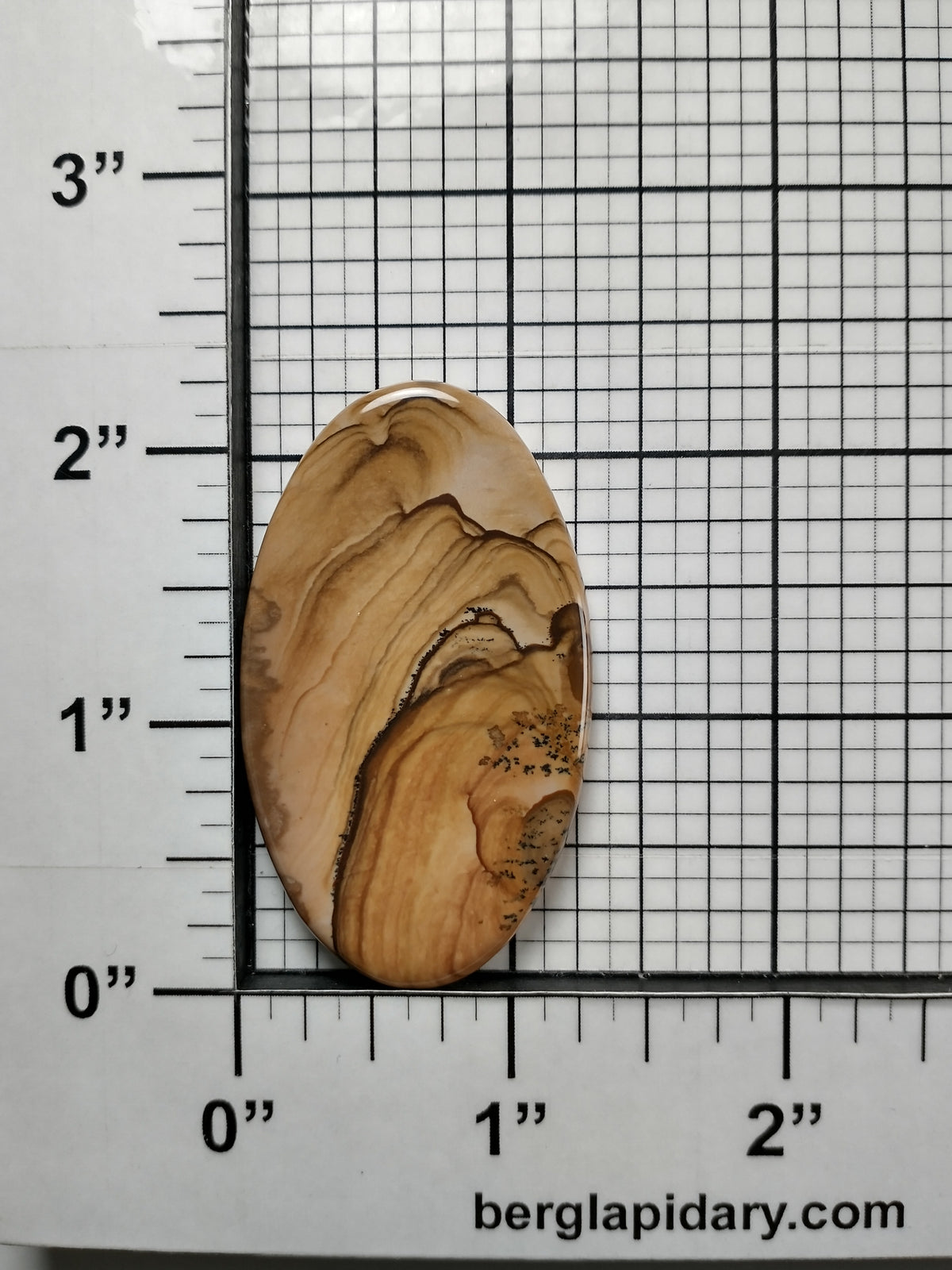 Biggs Jasper Cabochon Large