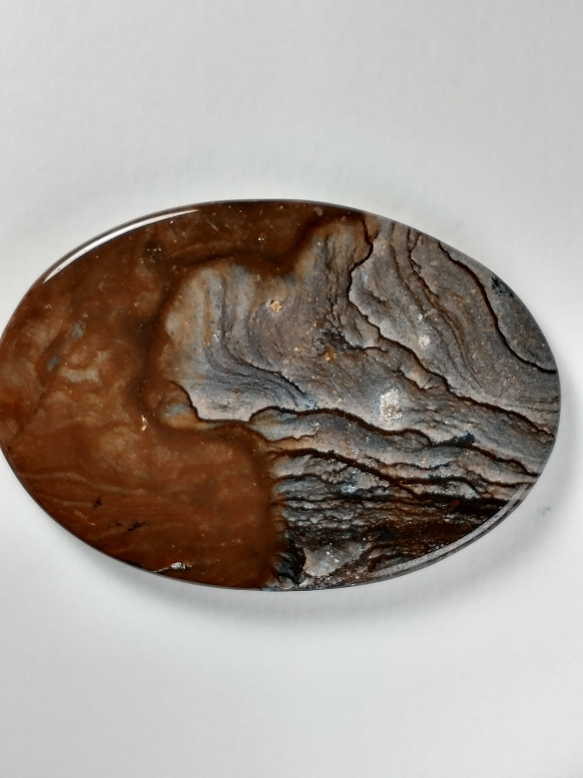 Biggs Jasper Cabochon Large