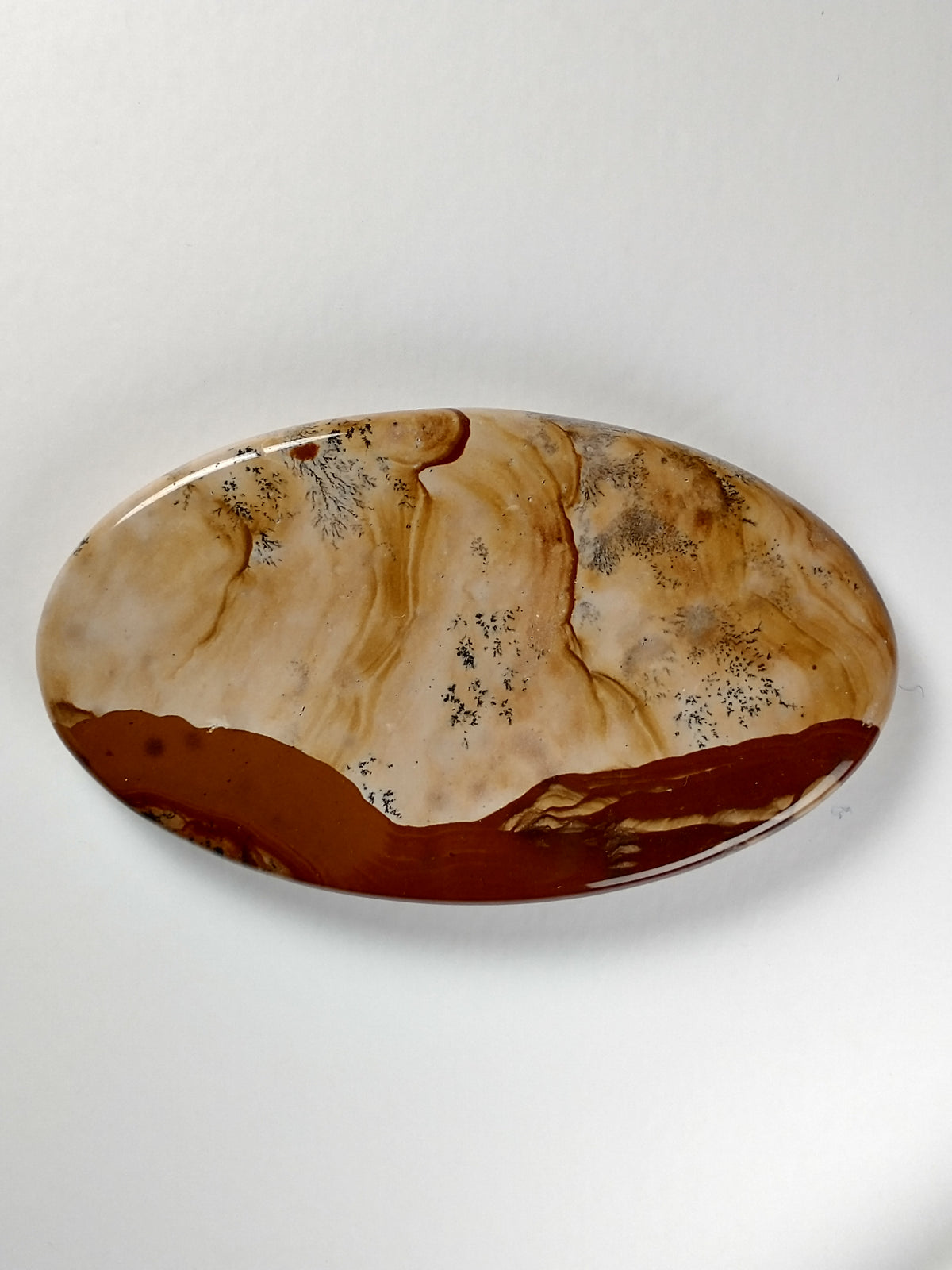 Biggs Jasper Cabochon Large