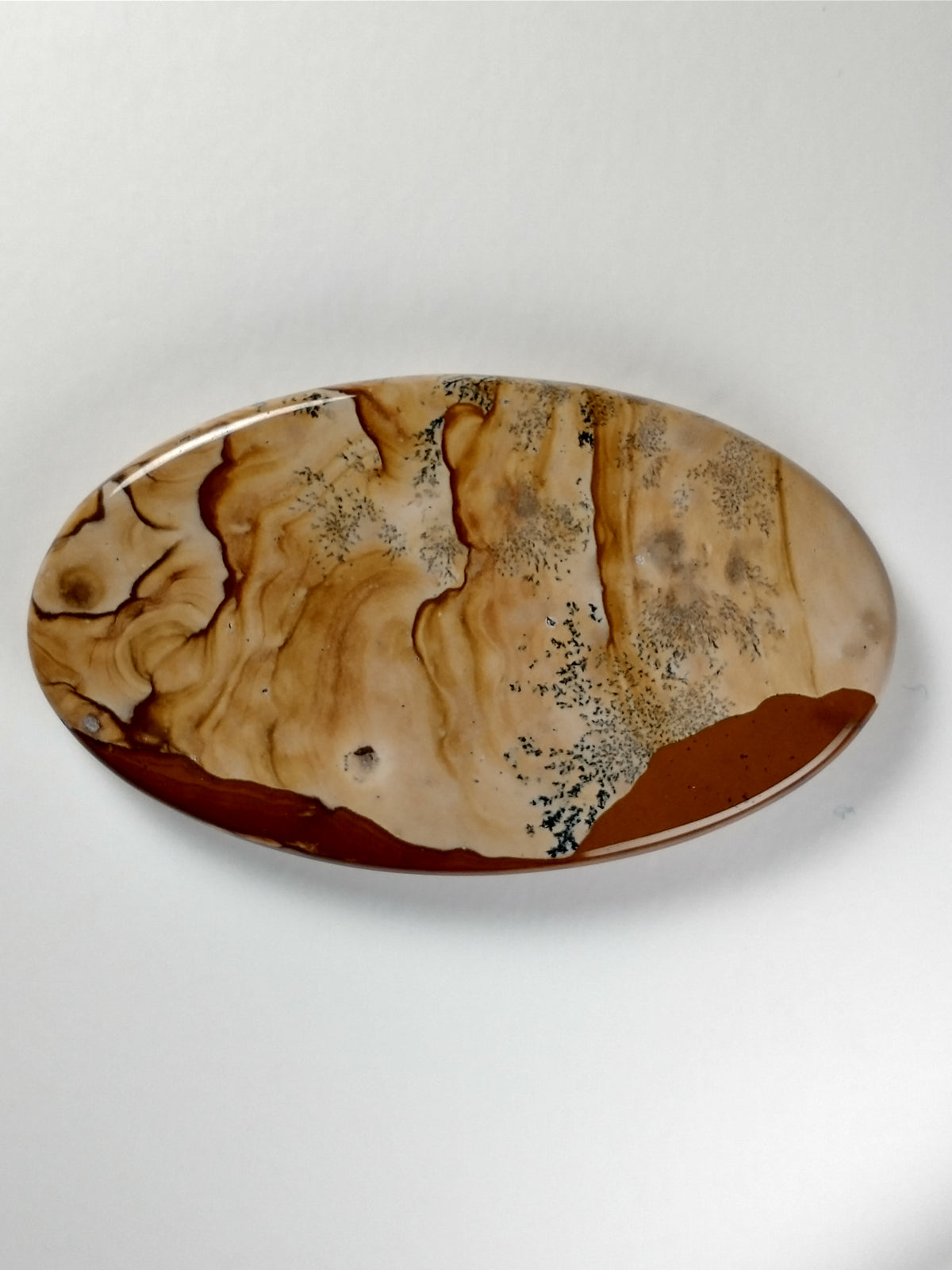 Biggs Jasper Cabochon Large