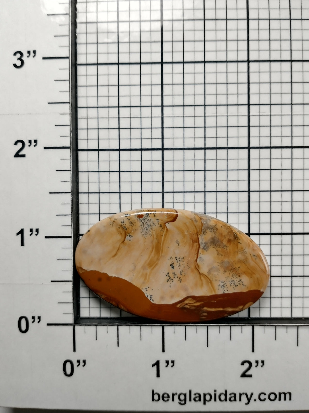 Biggs Jasper Cabochon Large