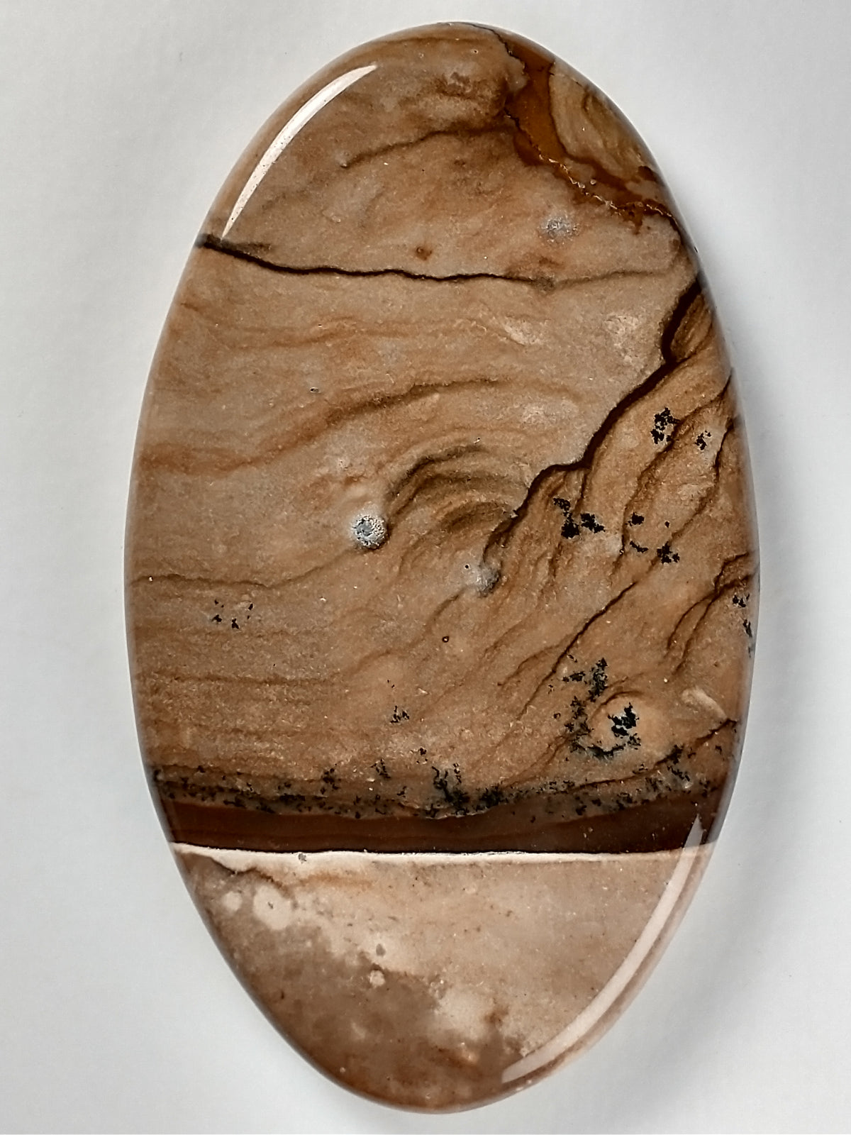 Biggs Jasper Cabochon Large