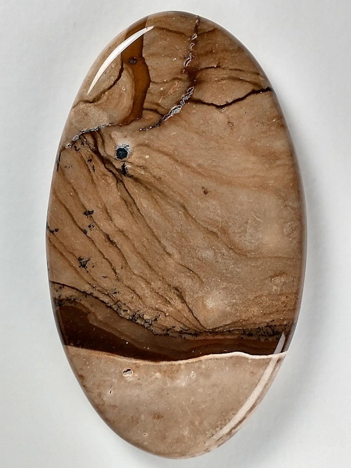 Biggs Jasper Cabochon Large