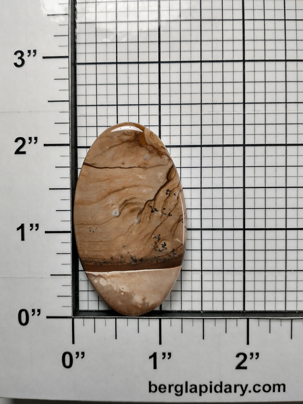 Biggs Jasper Cabochon Large