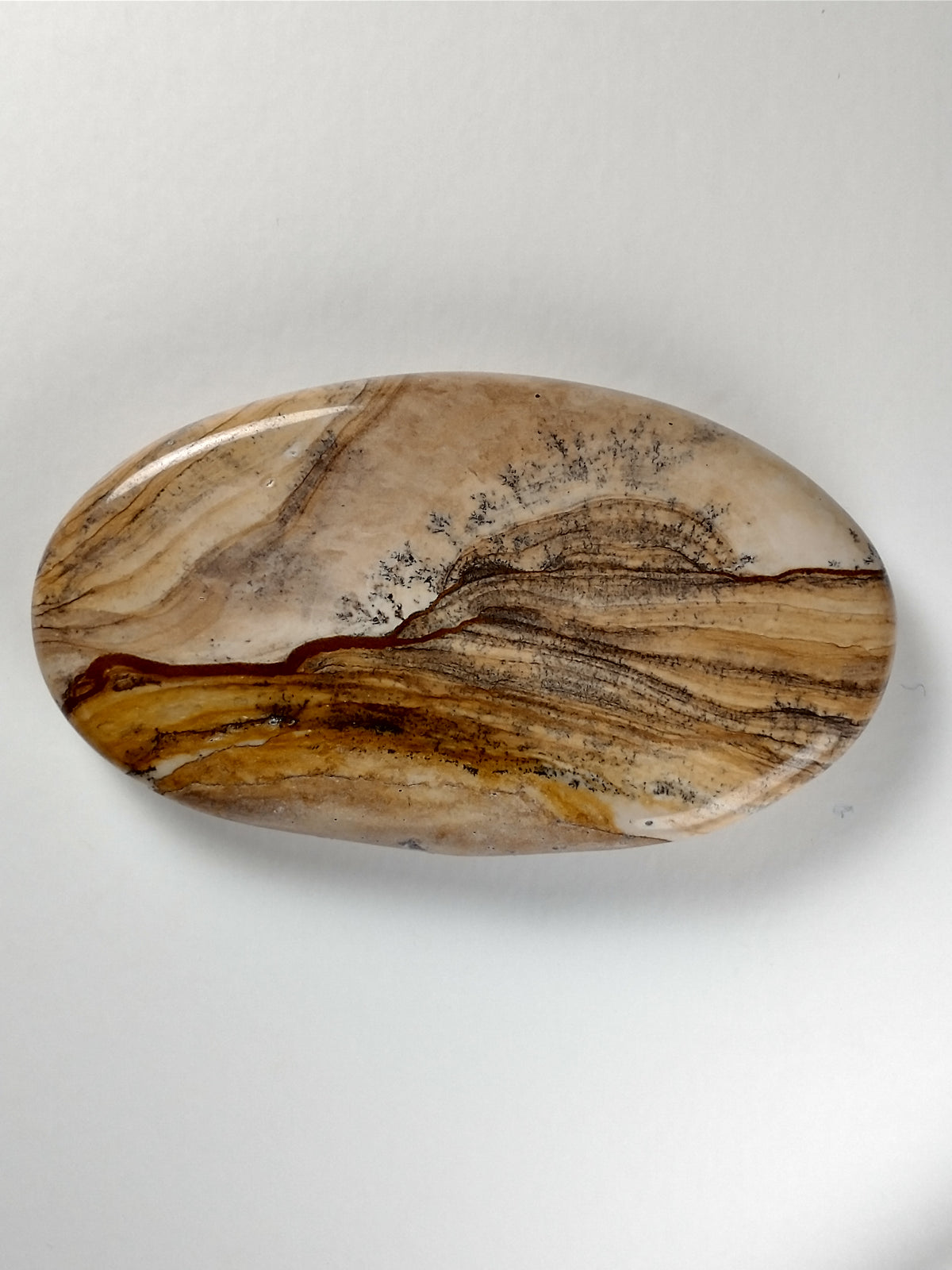 Biggs Jasper Cabochon Large