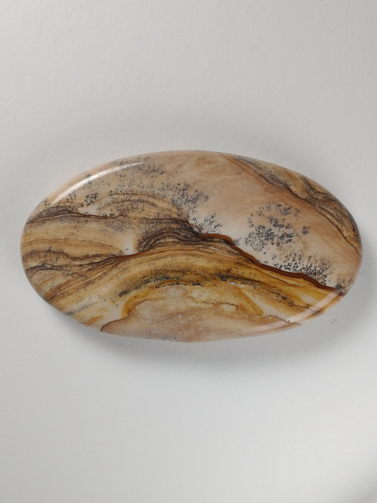 Biggs Jasper Cabochon Large