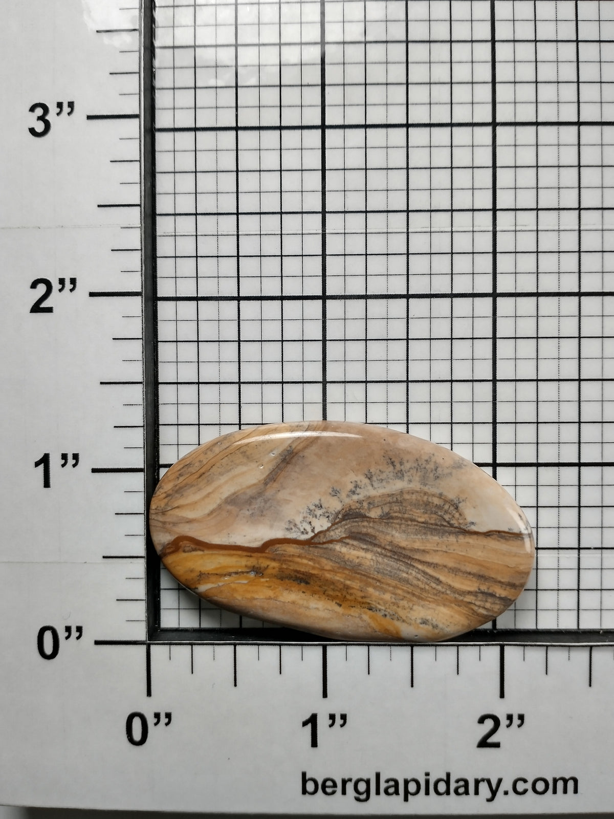 Biggs Jasper Cabochon Large
