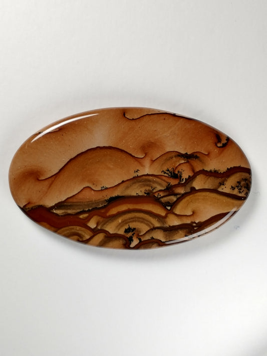 Biggs Jasper Cabochon Large