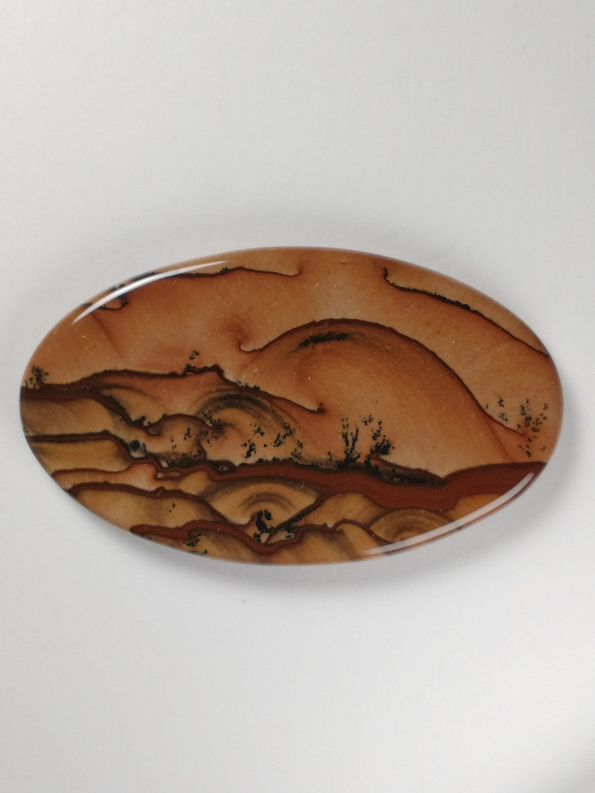 Biggs Jasper Cabochon Large