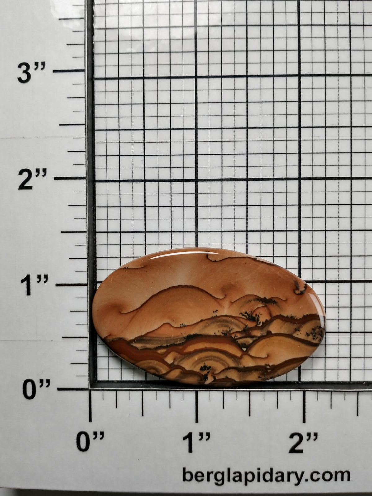 Biggs Jasper Cabochon Large