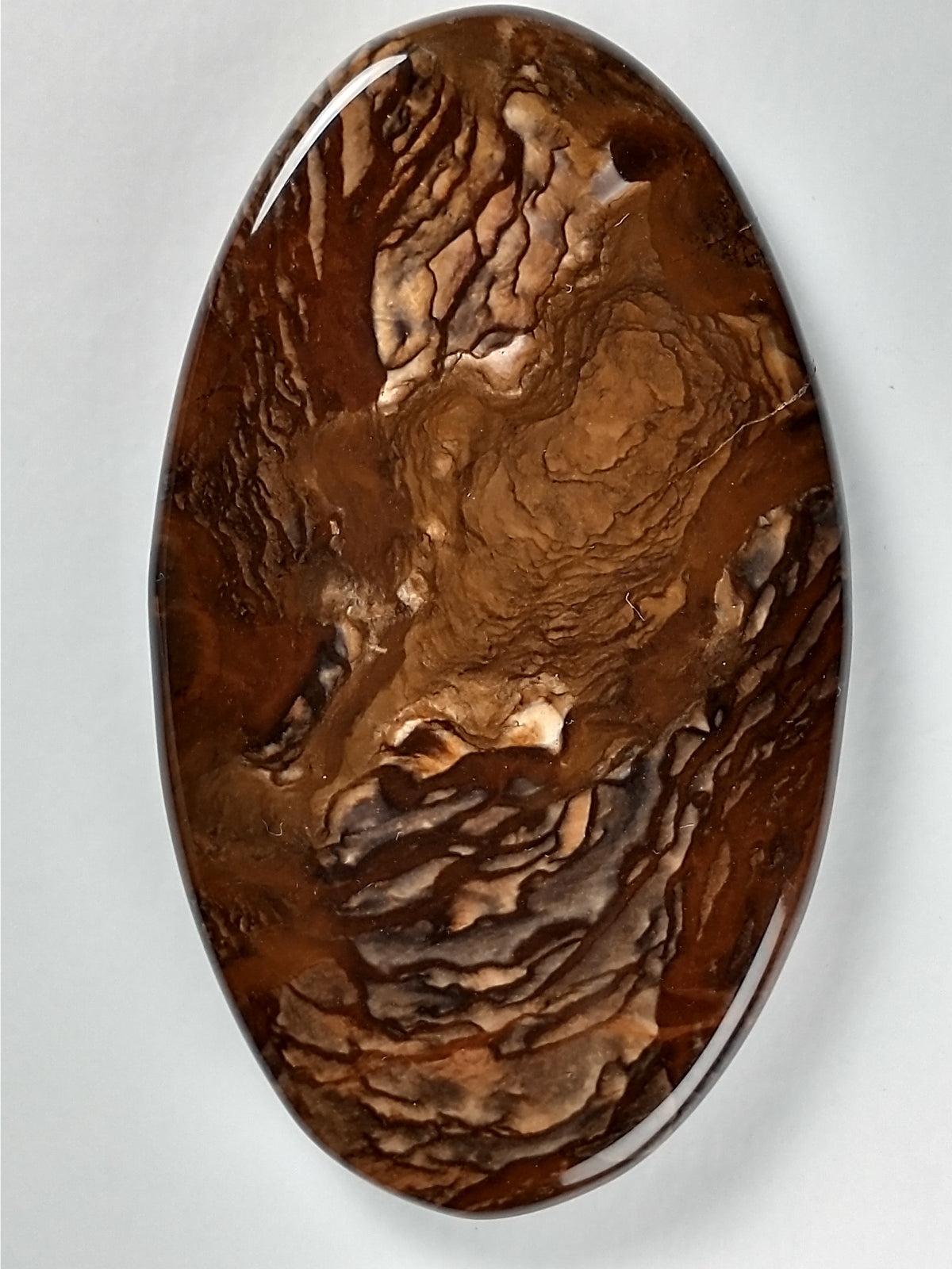 Biggs Jasper Cabochon Large