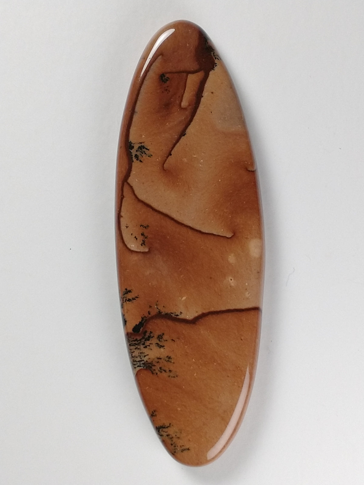Biggs Jasper Cabochon Large
