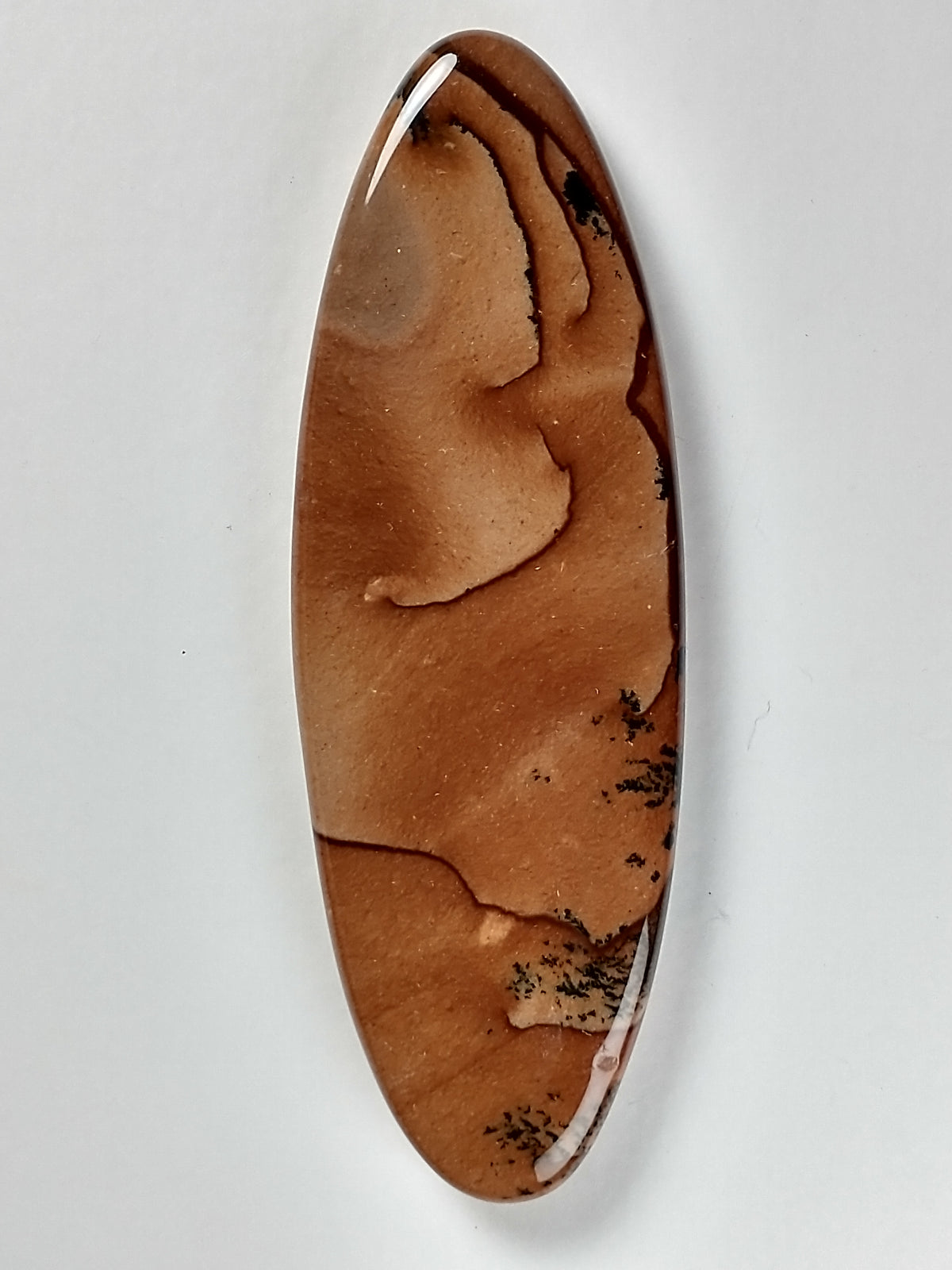 Biggs Jasper Cabochon Large