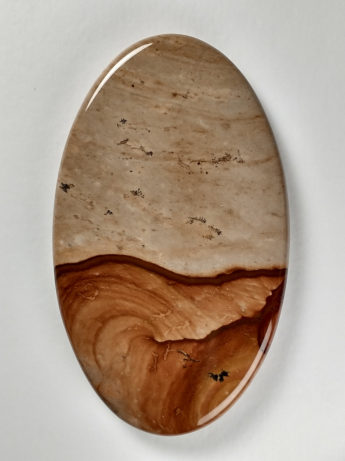 Biggs Jasper Cabochon Large