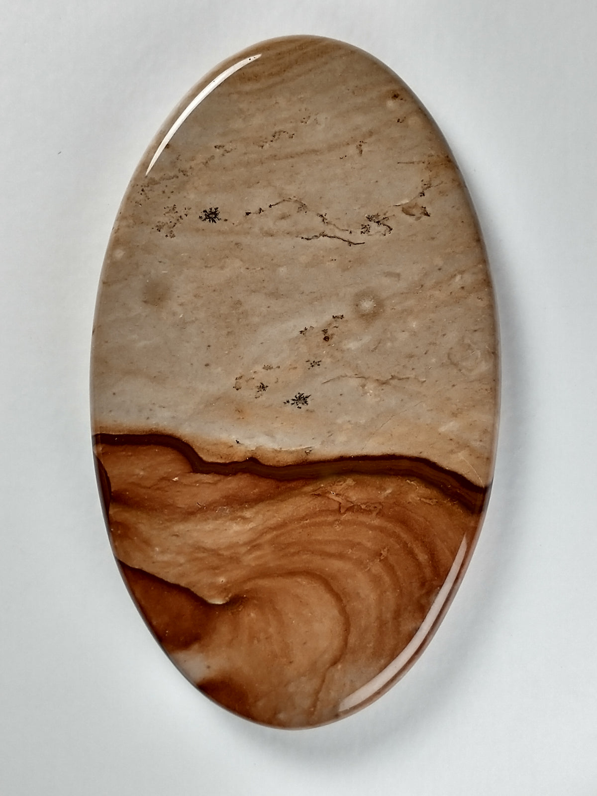 Biggs Jasper Cabochon Large