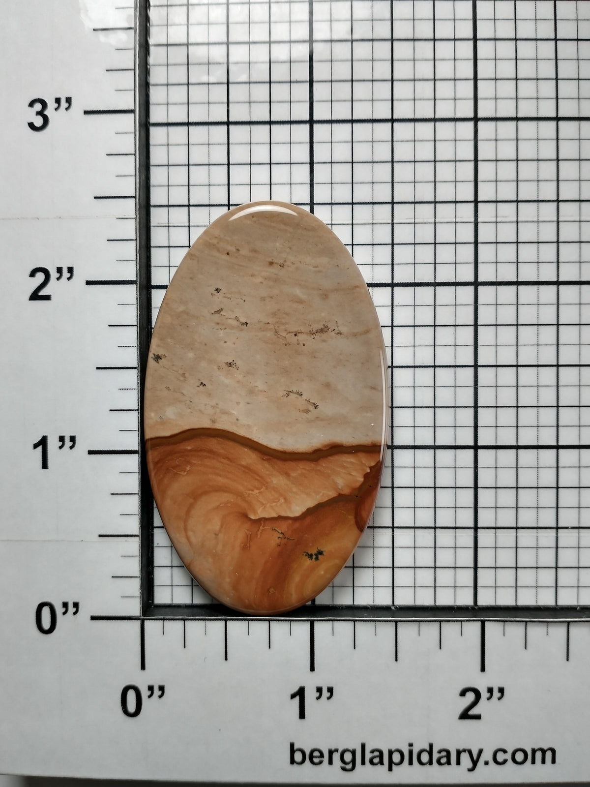 Biggs Jasper Cabochon Large