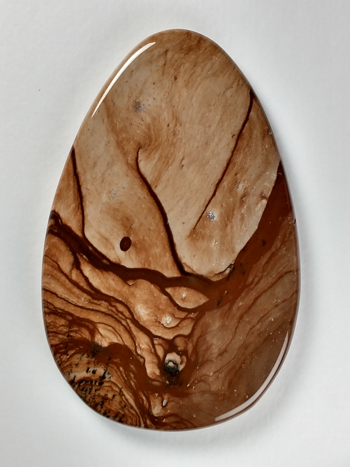 Biggs Jasper Cabochon Large