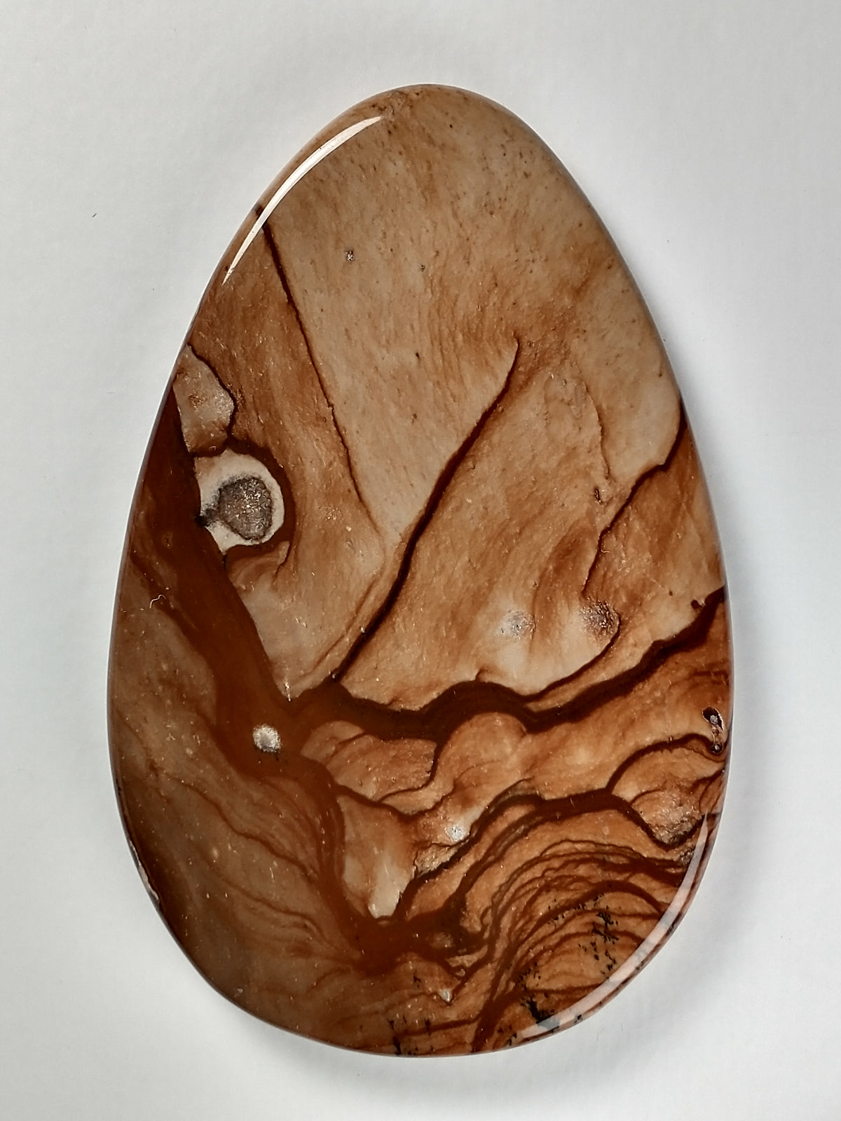 Biggs Jasper Cabochon Large
