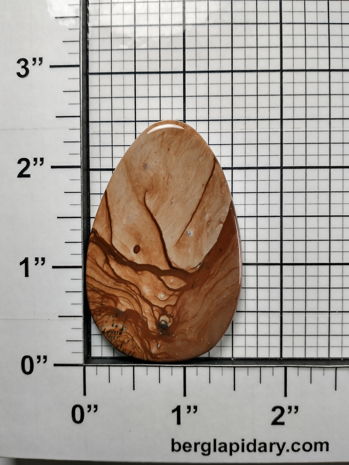 Biggs Jasper Cabochon Large