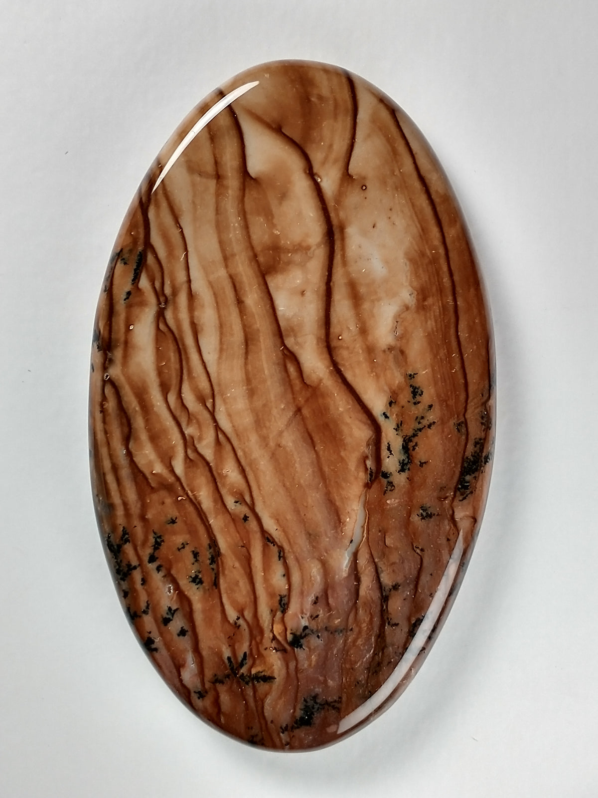 Biggs Jasper Cabochon Large