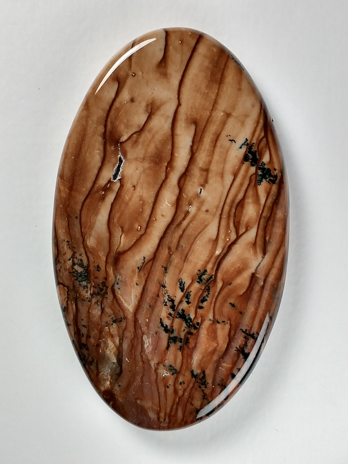 Biggs Jasper Cabochon Large