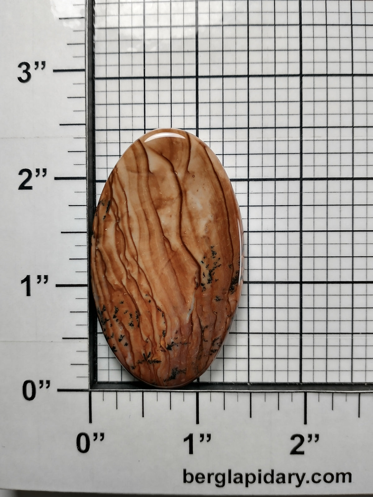Biggs Jasper Cabochon Large