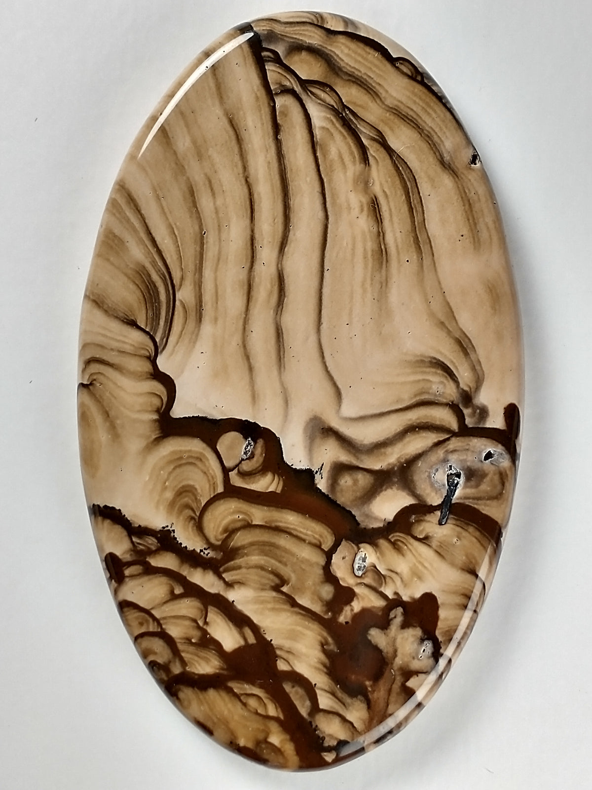 Biggs Jasper Cabochon Large