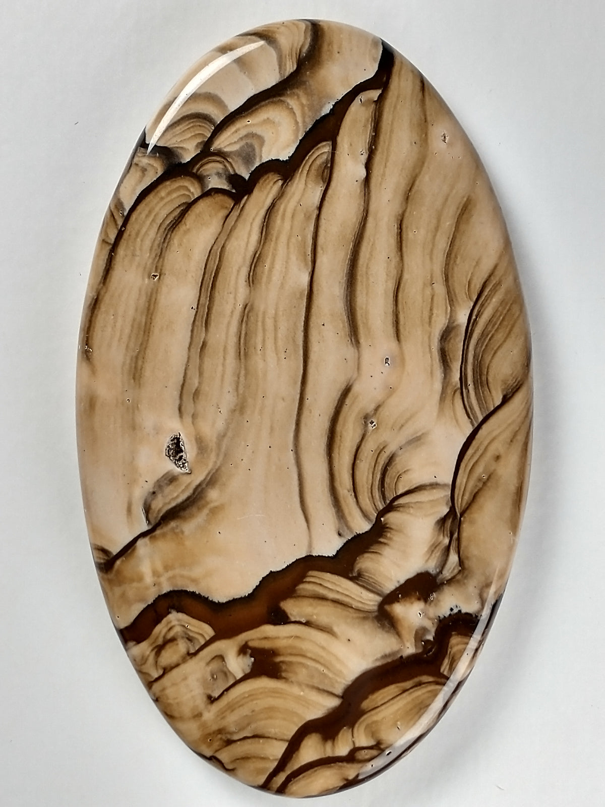 Biggs Jasper Cabochon Large