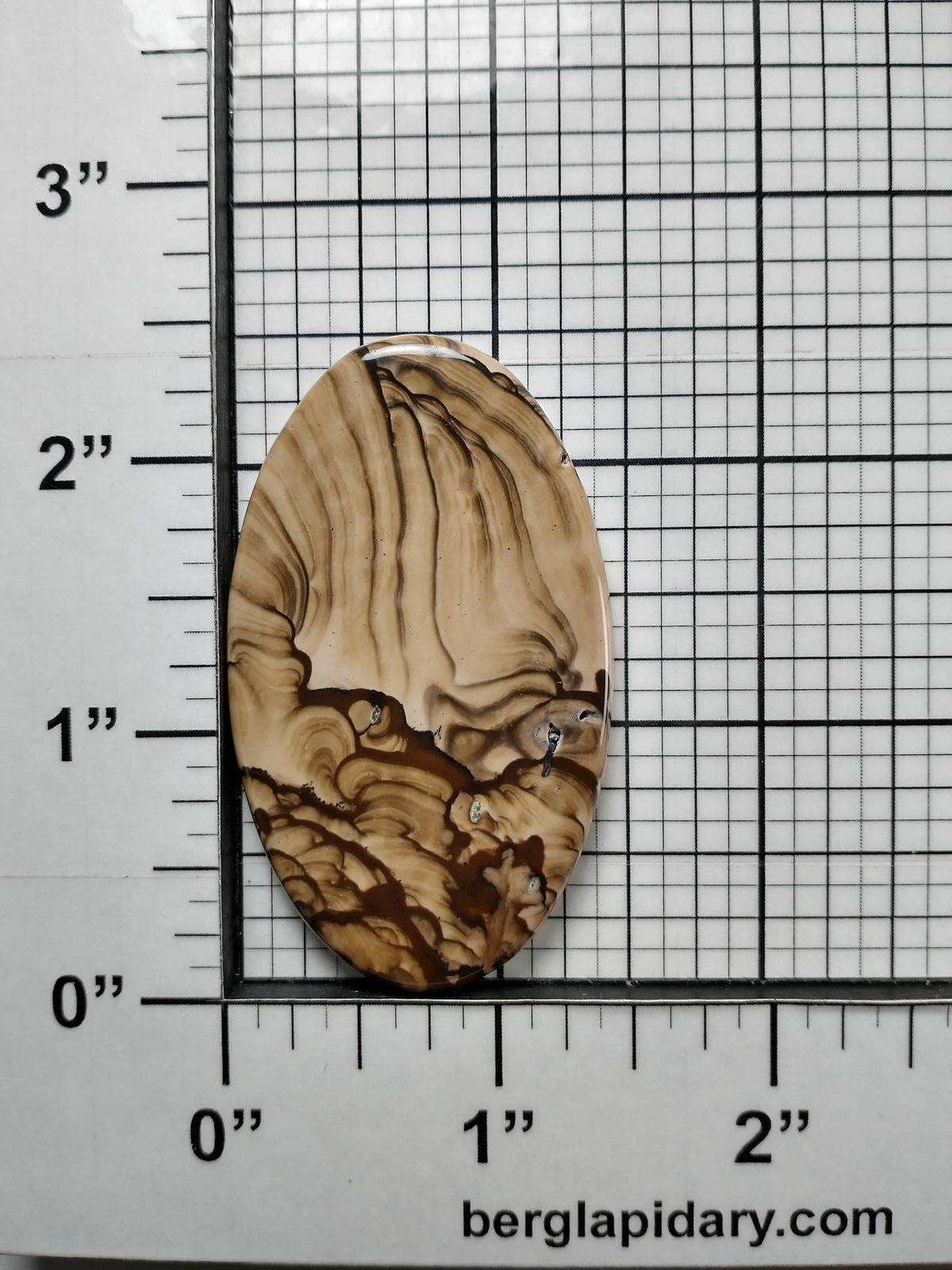 Biggs Jasper Cabochon Large