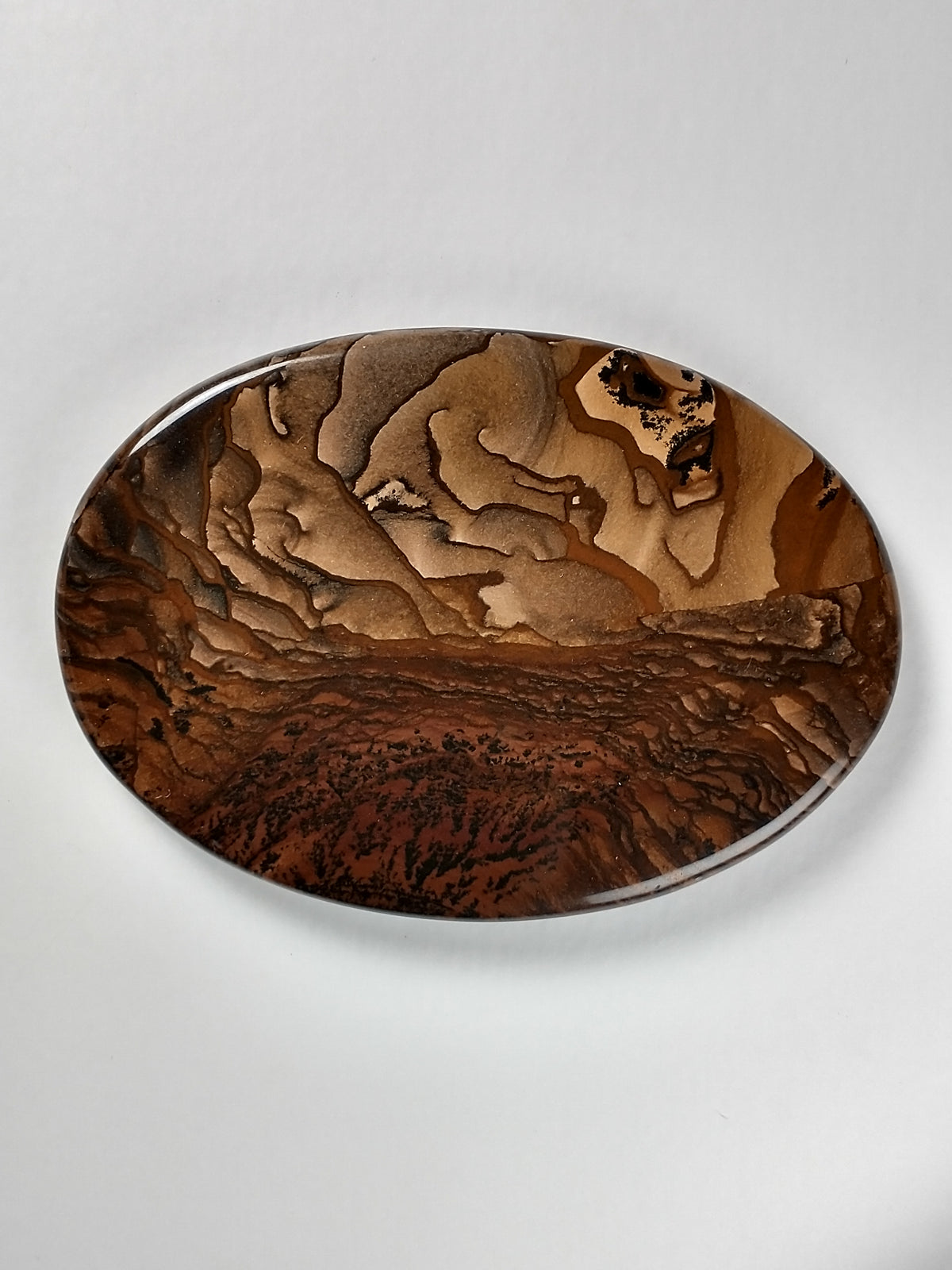 Biggs Jasper Cabochon X Large