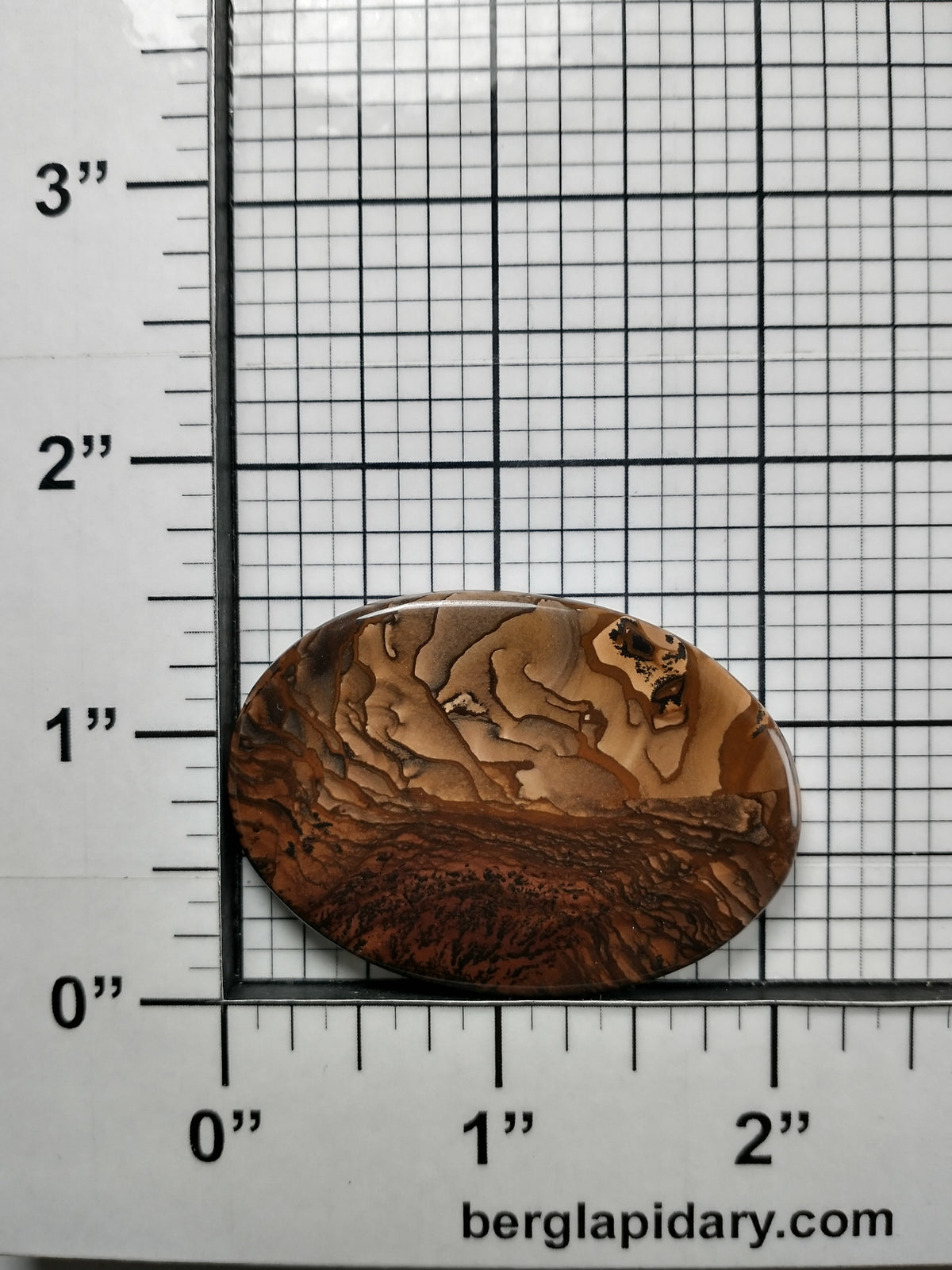 Biggs Jasper Cabochon X Large