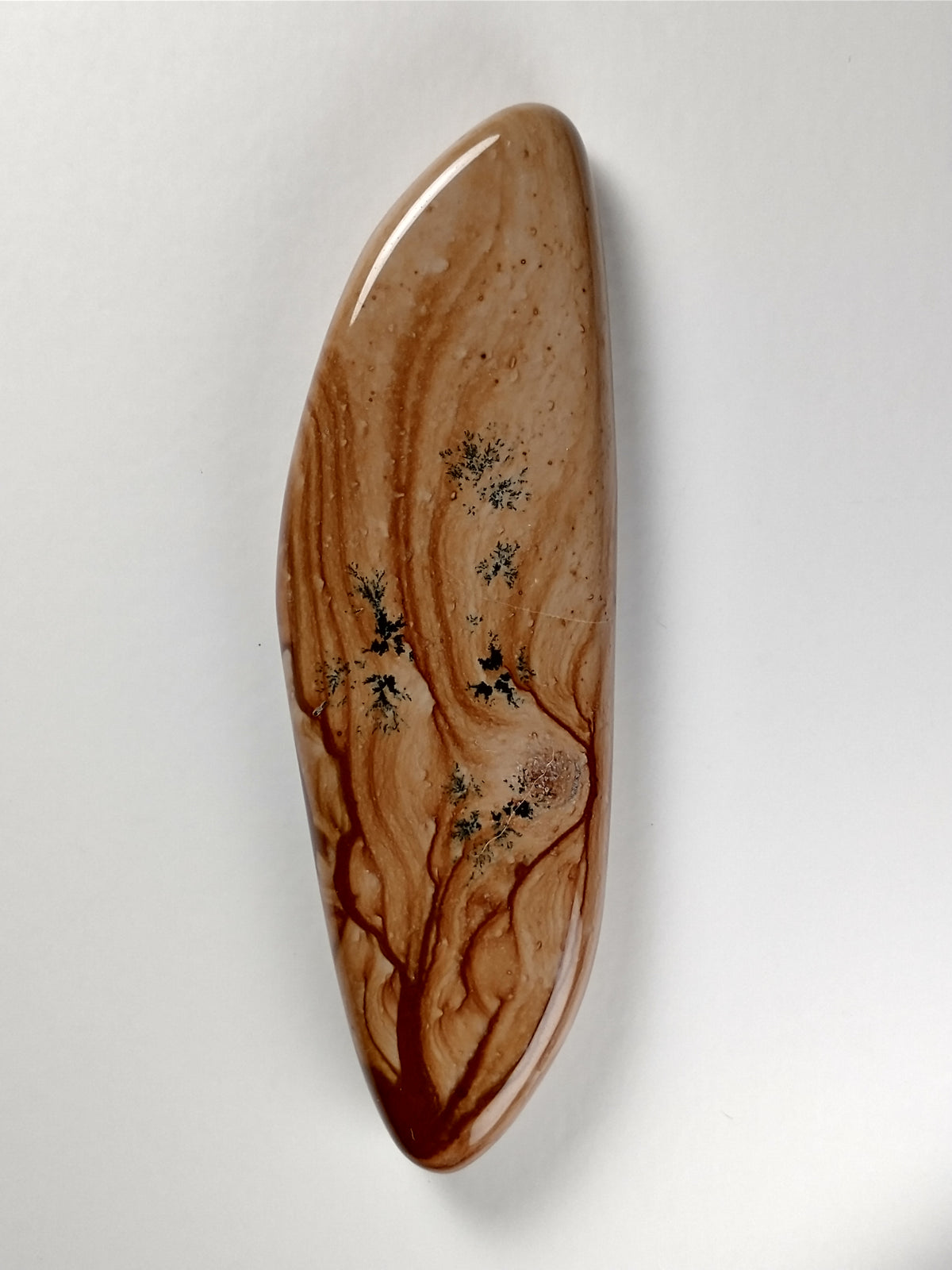Biggs Jasper Cabochon X Large