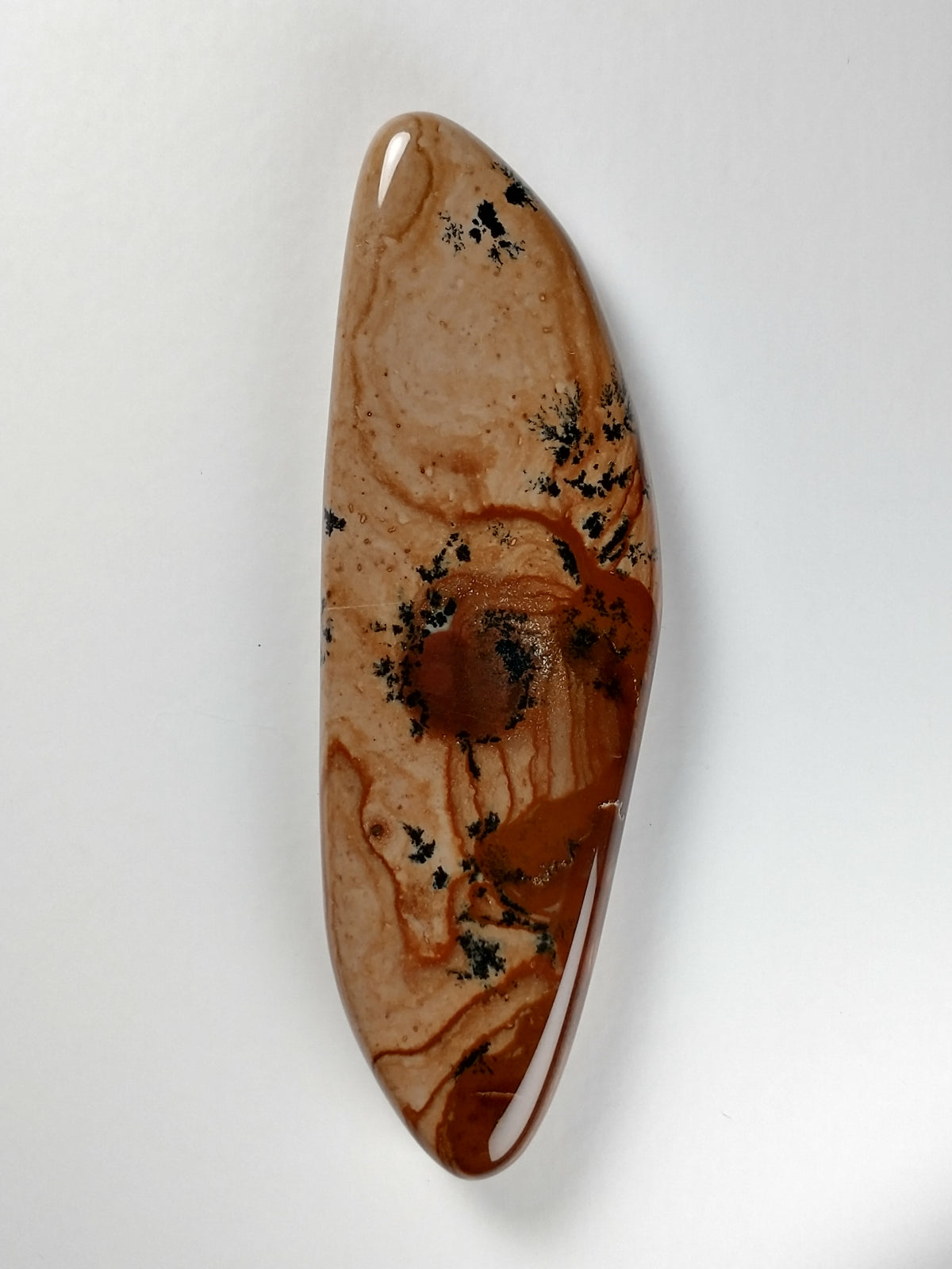 Biggs Jasper Cabochon X Large