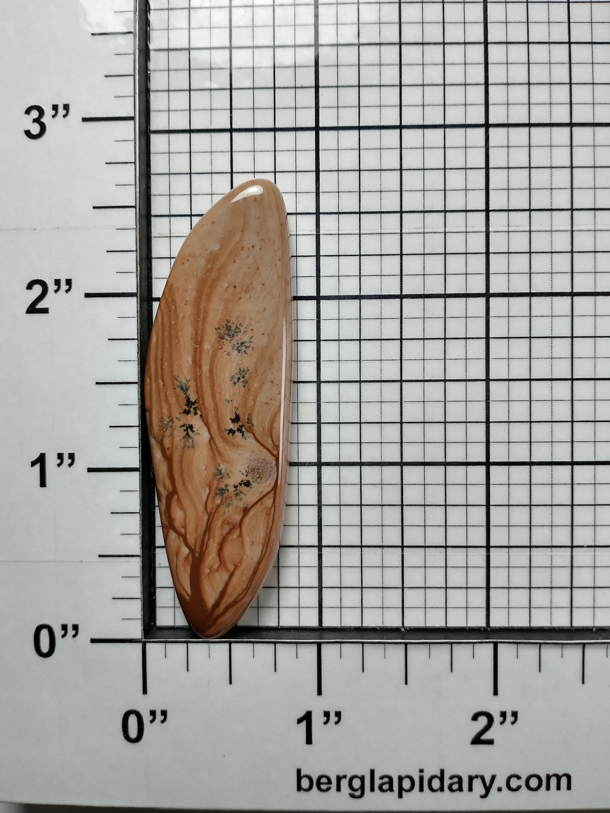 Biggs Jasper Cabochon X Large