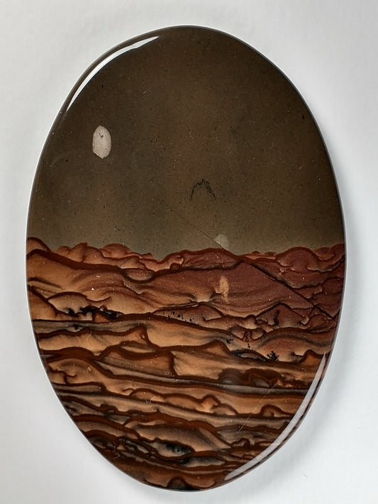 Biggs Jasper Cabochon X Large