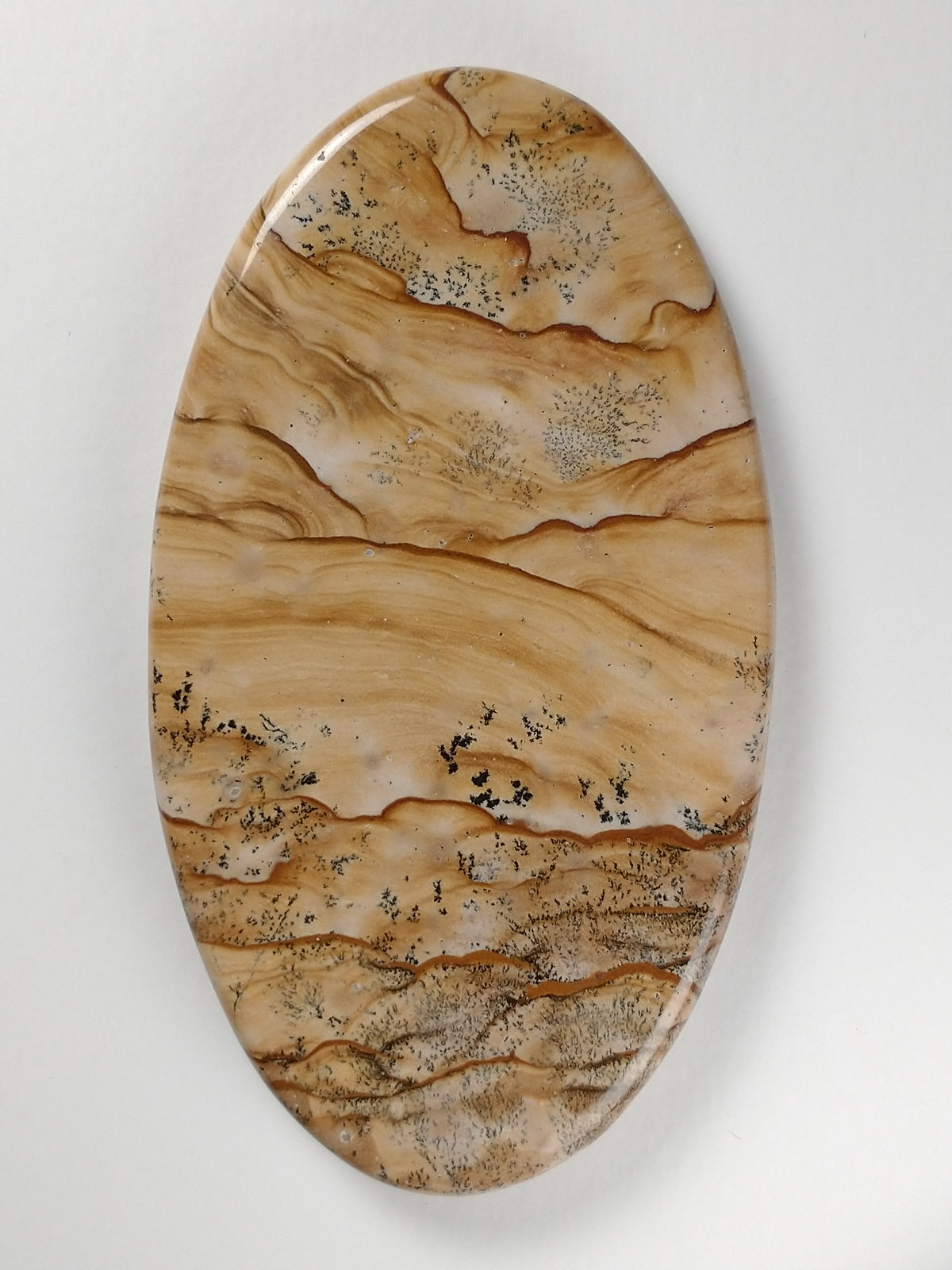 Biggs Jasper Cabochon X Large
