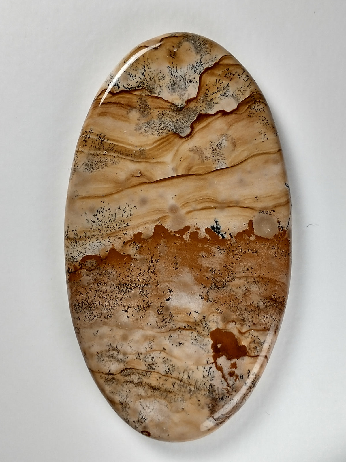 Biggs Jasper Cabochon X Large