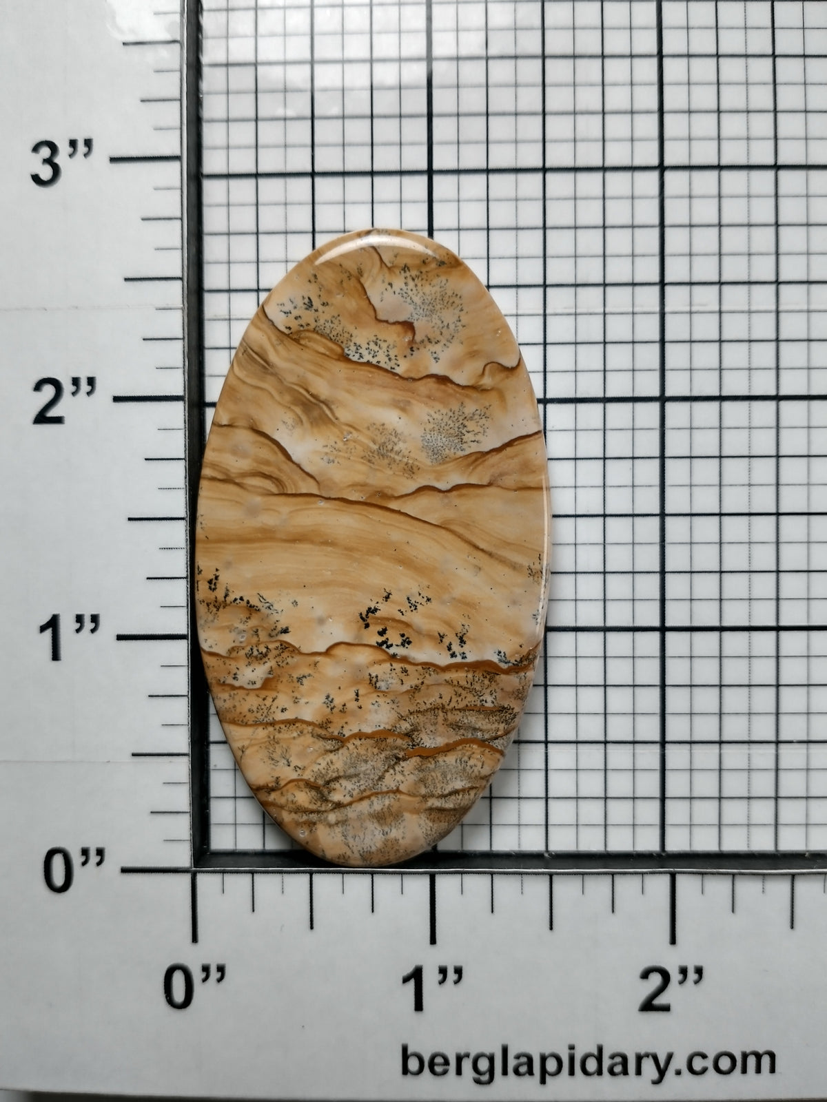 Biggs Jasper Cabochon X Large